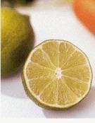 Limon