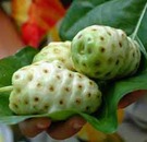 Noni