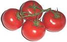 Tomates