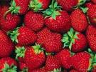 Fresas