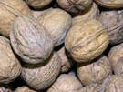 Nueces como remedios caseros para la prevención del  Alzheimer