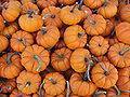 Pastel de calabaza bajas calorías