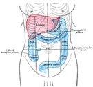 Síntomas del síndrome de colon irritable