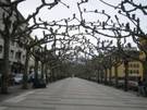 Avenida de España en Torrelavega