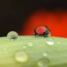 gotas de agua