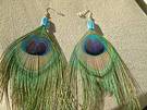 pendientes de plumas