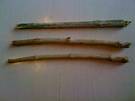 cepillo miswak