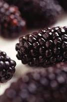 Moras